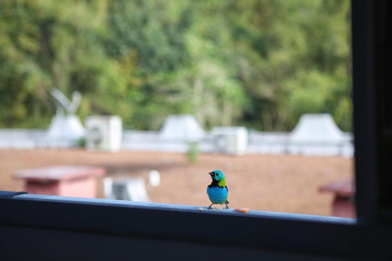 Vista O Mar E Pe Na Areia - Toninhas *